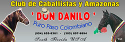 Paso Fino Don Danilo